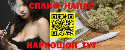индика Новозыбков